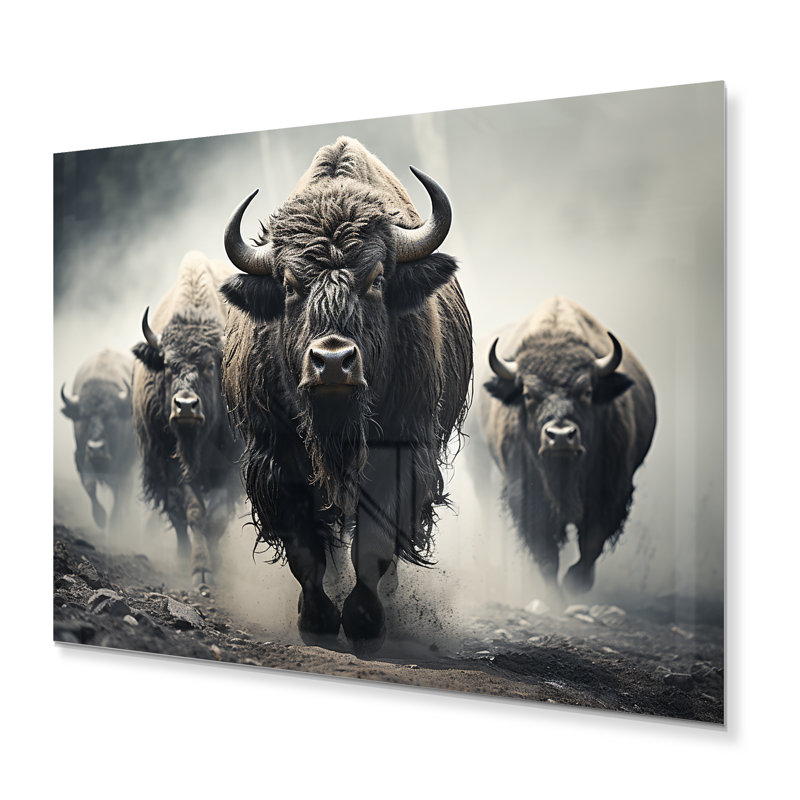 «Gray Buffalo Gentle Guardians I», reproduction d'art sur métal, H 12 po x l 20 po