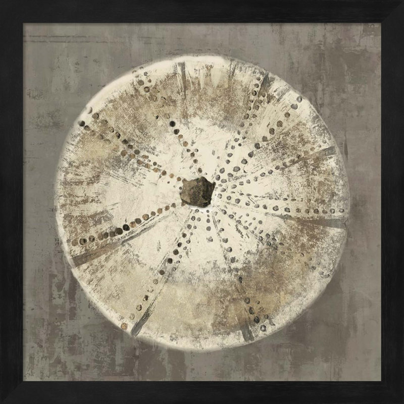 " Sand Dollar IB " by Aimee Wilson