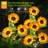 Solar Powered Integrated LED Pathway Light Pack