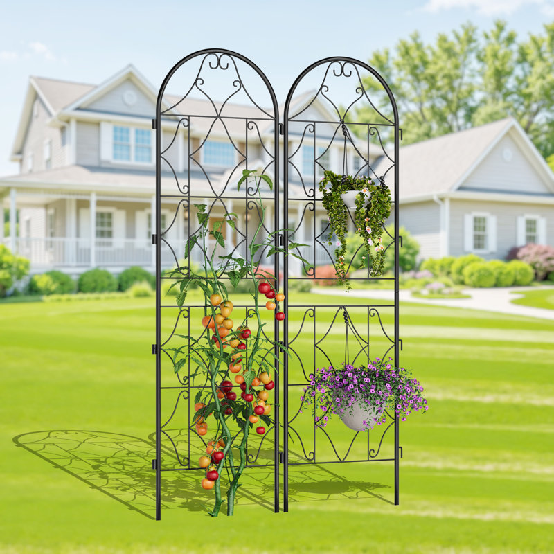 2 Pack 55x190cm Black Metal Plant Trellis, Rustproof Scrollwork Climbing Support for Roses Vines Vegetables, Indoor Outdoor Garden Trellis for Pots Patio Decor