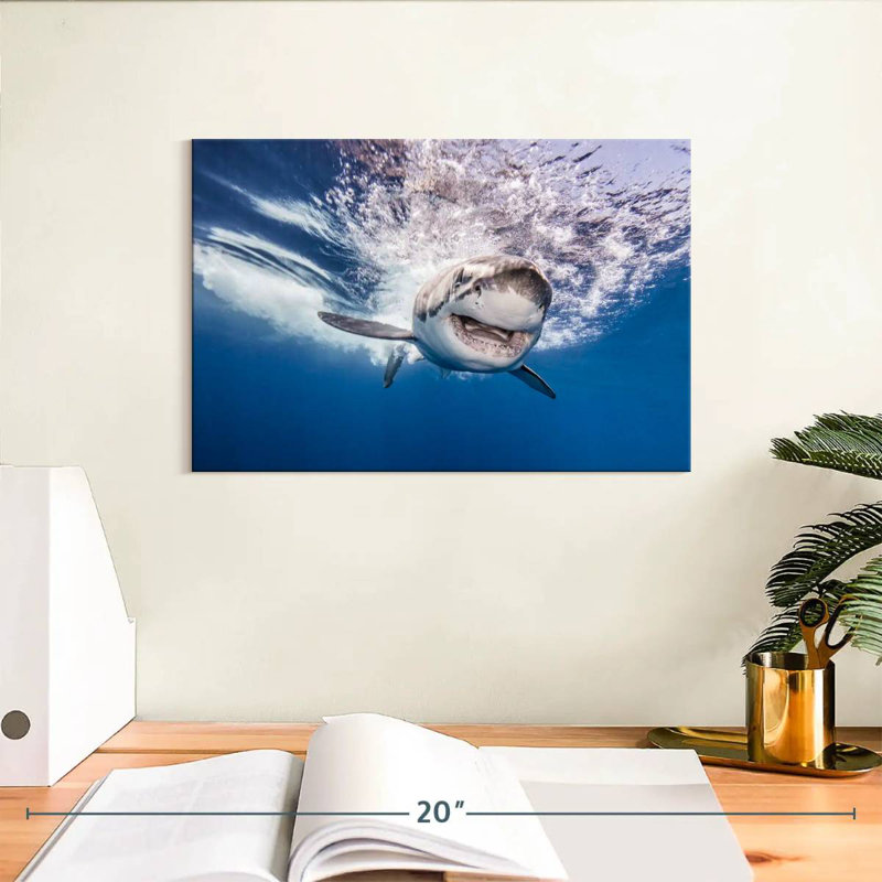 Brampt Happy Shark, 8'' H x 12'' W