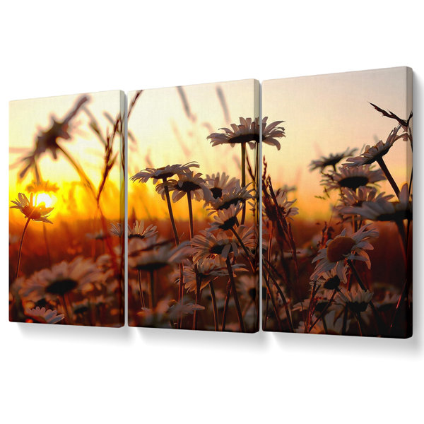 Ebern Designs Daisies At Sunset - 3 Piece Wrapped Canvas Print ...
