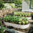 Raised Garden Bed Kit-233710724