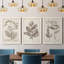 Midnight Tulip III - Ensemble de 3 cadres photo sur toile-856270423-856270420