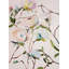Root No. 1 Print-1347901443
