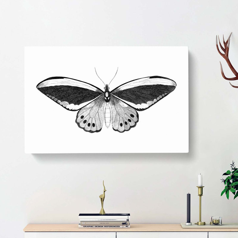 Papilio Butterfly In Black And White by George Shaw - Wrapped Canvas, 35cm H x 50cm W x 3cm D