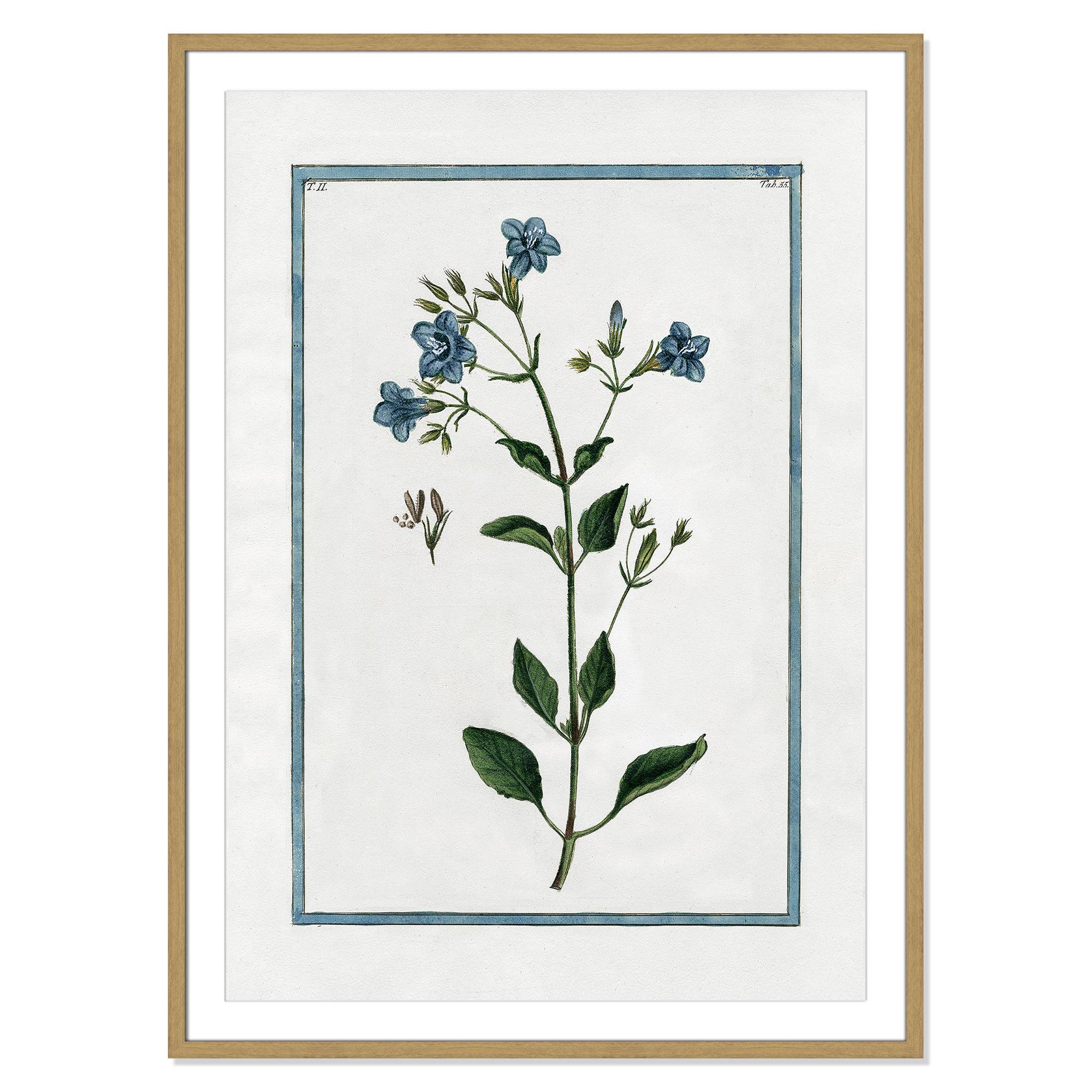 Shabby Elegance Botanical II - Framed Art, 29.5" W x 41.5" H, Natural Framed