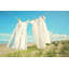 Sylvia Cook - Wrapped Canvas Print-1129347994