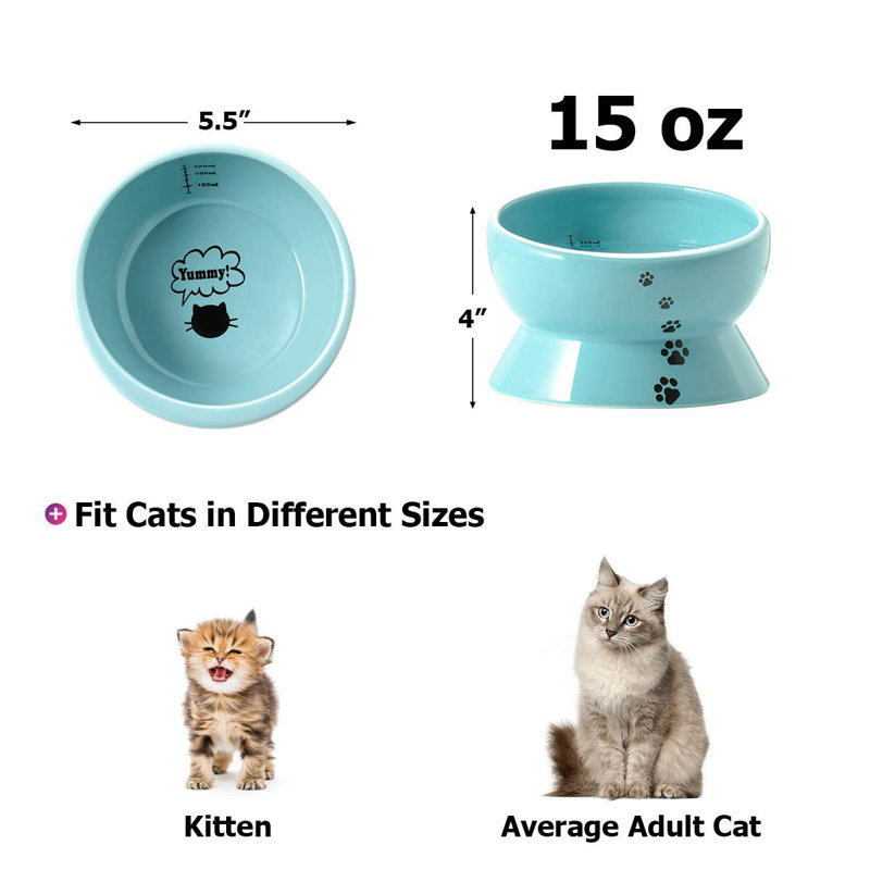 Bol surélevé pour chat, Bleu lac, 4''