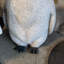 Statue de bébé pingouin