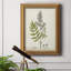 Toile encadrée de qualité supérieure antique botanique III - prête à être accrochée-1854956681