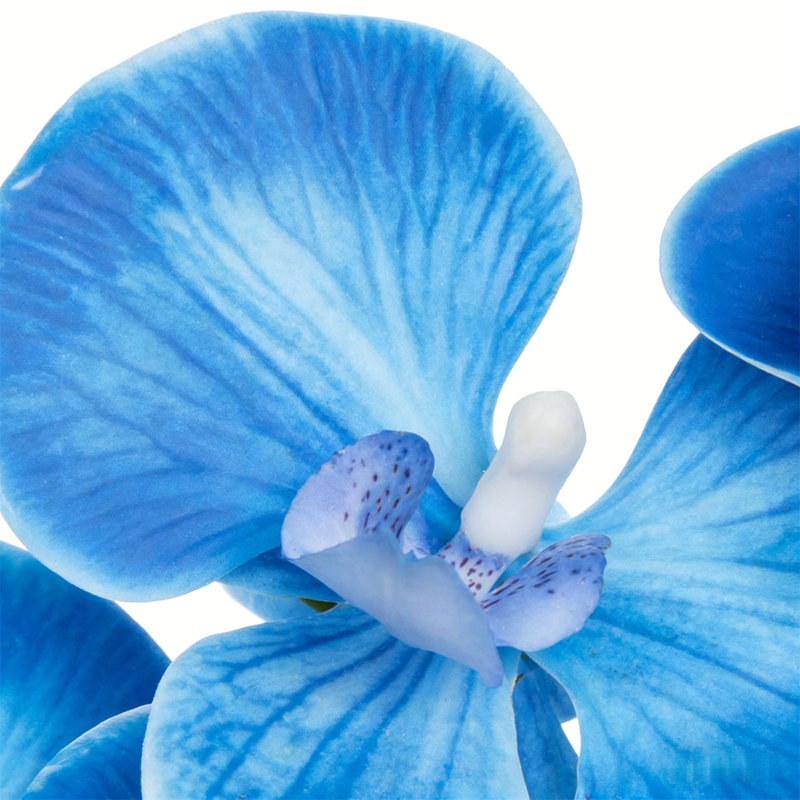 Arrangement floral artificiel, Bleu