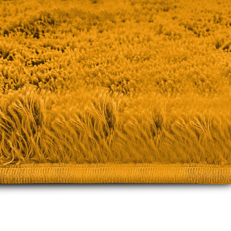 Soft Fluffy Living Room Large Area Rug, Rectangle 120 x 170 cm, Ochre