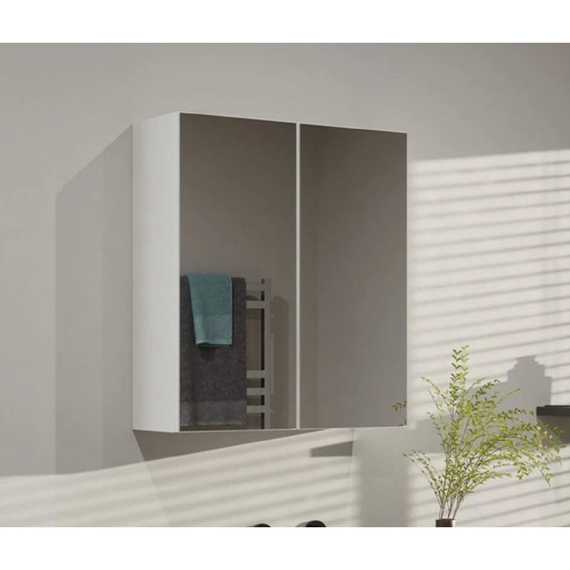 W H Medicine Cabinet Mirror