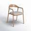 Modern Upholstered Arm Chair-1552017458