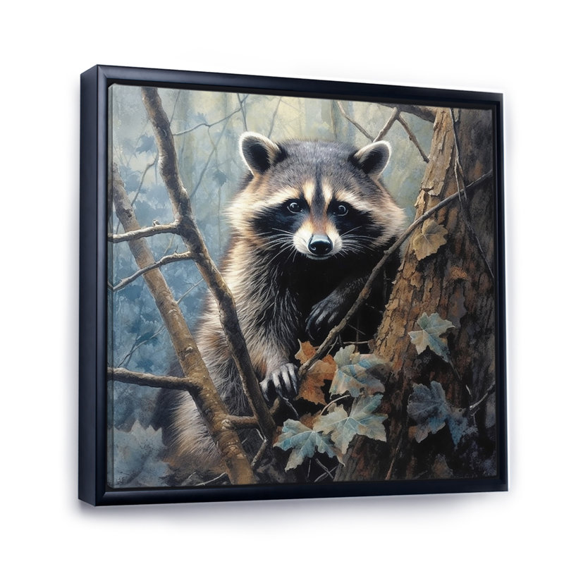 Racoon Wanderer III - animaux, impressions sur toile, H 30 po x l 30 po x P 1 po, Cadre flottant noir