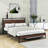 Wilhelmi Metal Platform Bed Frame with Trundle and USB Ports-1270646384-1270646386