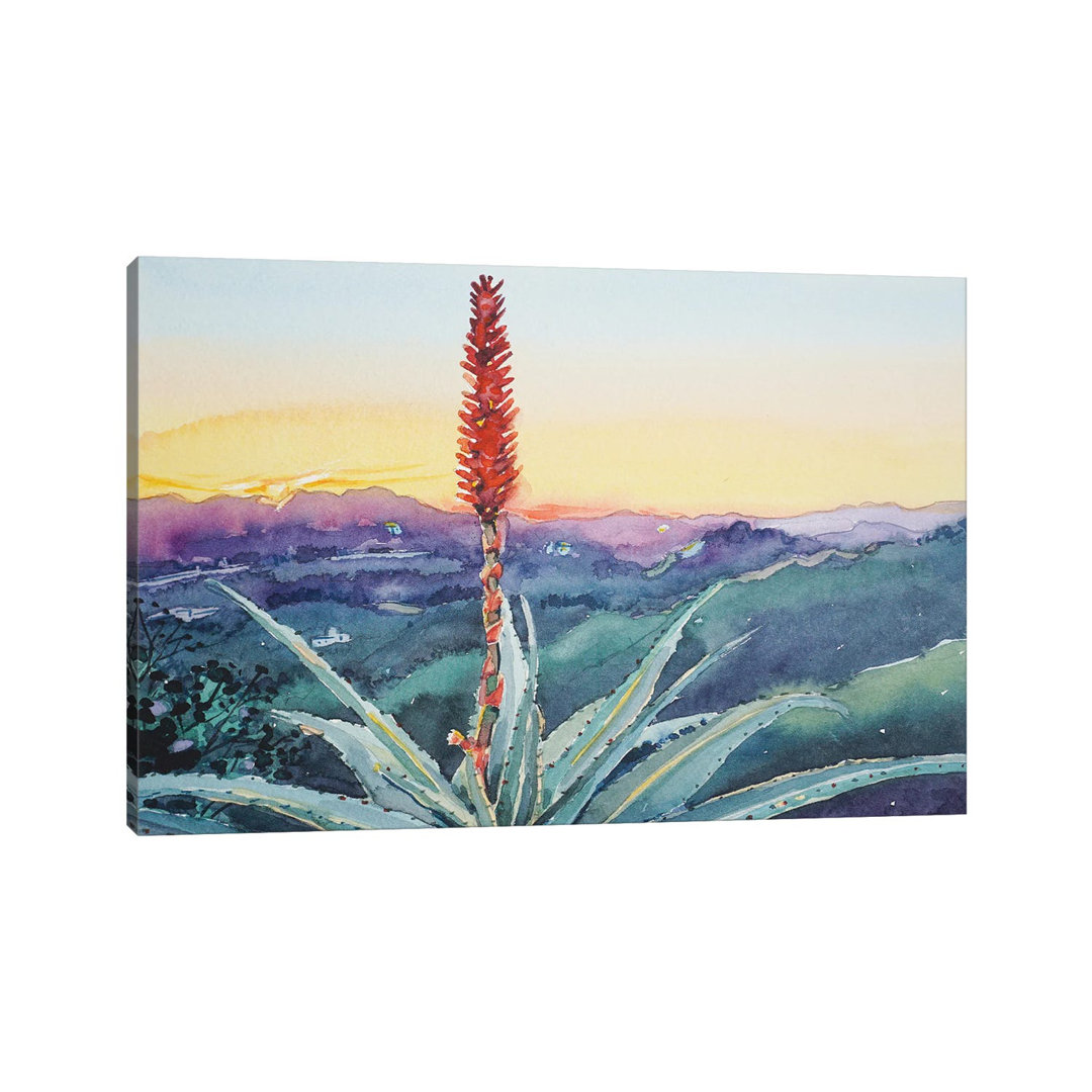 Hot Poker Sunset - Topanga by Luisa Millicent - Wrapped Canvas Painting