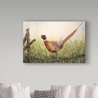 " Glorious Pheasant " Acrylic Print