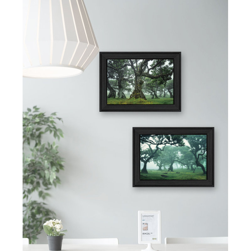 Collection «Enchanted Forest» par Martin Podt, encadrée prête à être accrochée, Noir, H 21 po x l 31 po x P 1 po