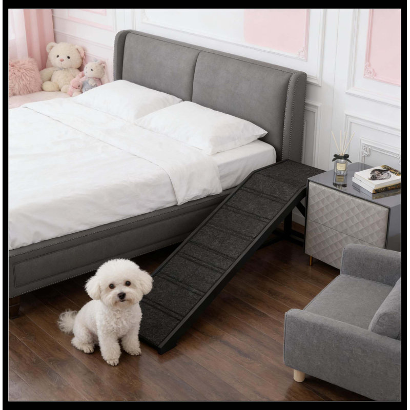 Rampe noire, rampe pour animaux de compagnie