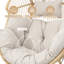Swing Egg Chair With Cushion And Ottoman-420895871-420895870