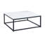 Jazmariah Frame Coffee Table-1760551551