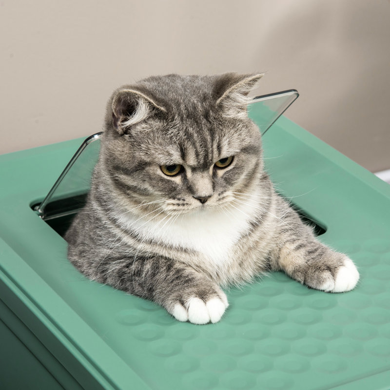 Litière pour chat avec odeur à l'épreuve des odeurs