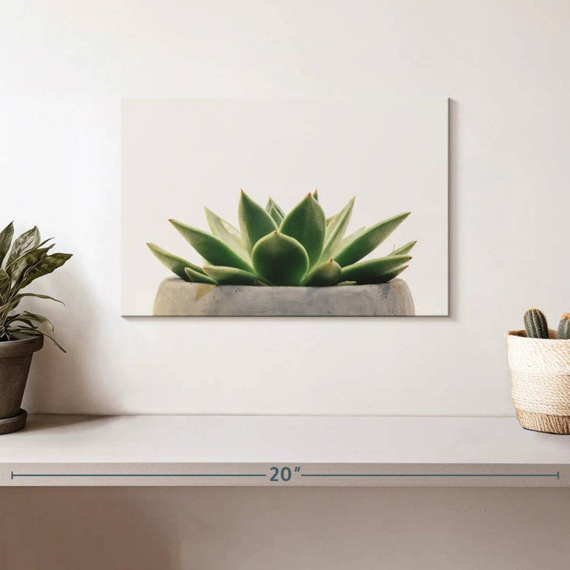 Harnek Stone Pot Succulent, 8" H x 12" W