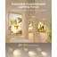 Spolight Wall Sconce