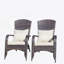 Chaise de patio avec coussins (coussin beige)-225706331