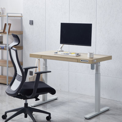 Gooitsen Height Adjustable Standing Desk