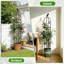 Obélisque treillis pour plantes grimpantes-273061384-276630029
