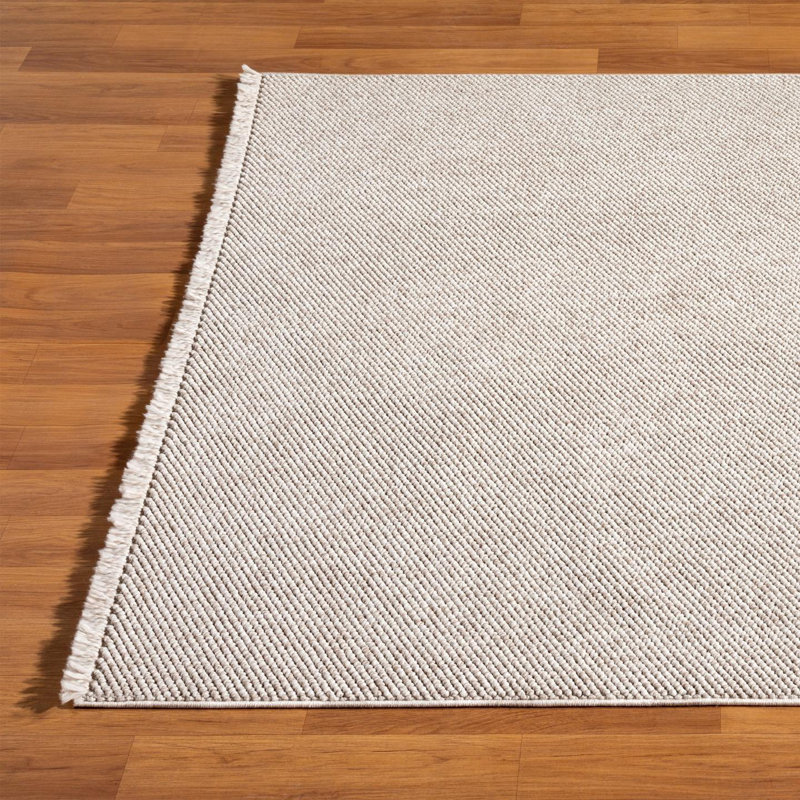 Textured Fringed Area Rug, Rectangle 5' x 7', Beige