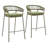 Daejon Skye Barstool (Set Of 2) Green