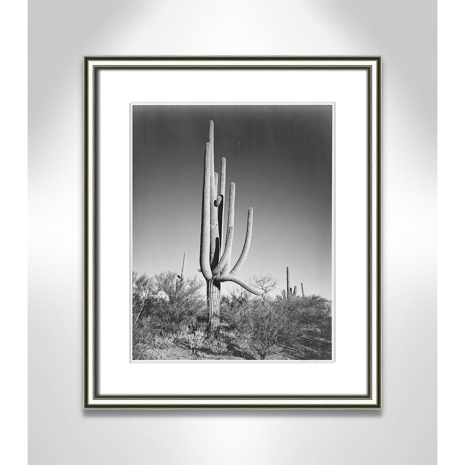 Saguaro National Monument Print by Ansel Adams, 20.25" H x 17.25" W x 0.88" D, Silver