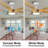 Klaudius 56'' Ceiling Fan with LED Lights-1272956263-1272956260