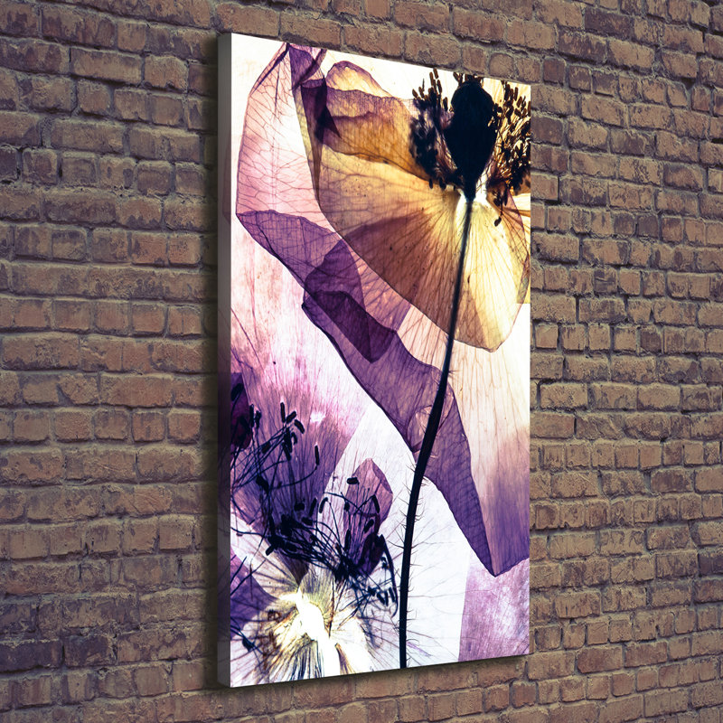 Maki - Wrapped Canvas Print