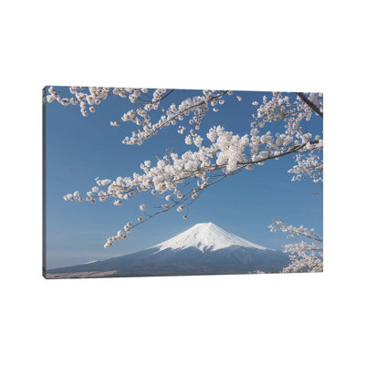 Spring in Japan XXVII 1 Piece Wrapped Canvas Wall Art