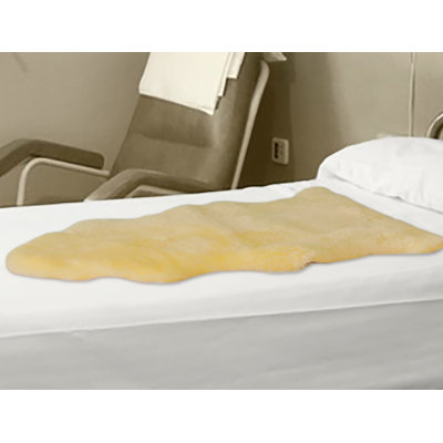 Novelty Antoneyo Sheepskin Area Rug in Light