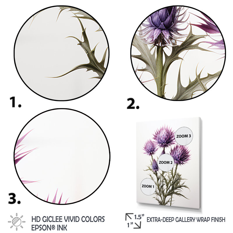 Rustique mauve et Whitethistle - chardon, art mural, Cadre simple noir, H 20 po x l 12 po x P 1 po