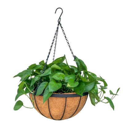 Handmade Metal Hanging Planter