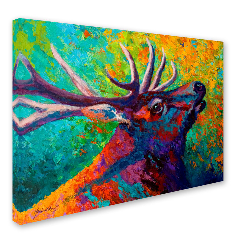 Kucera 'Echo Elk' Print on Wrapped Canvas, 35" H x 47" W