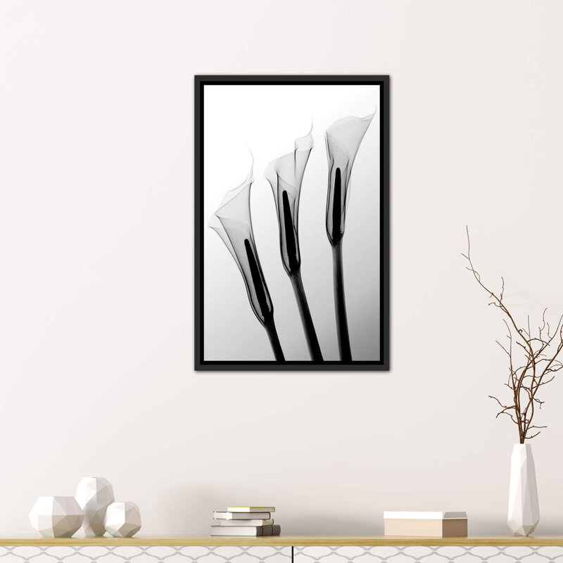 Callas I par Hong Pham - reproduction de photo, Toile avec cadre noir, H 26 po x l 18 po x 1,5 po