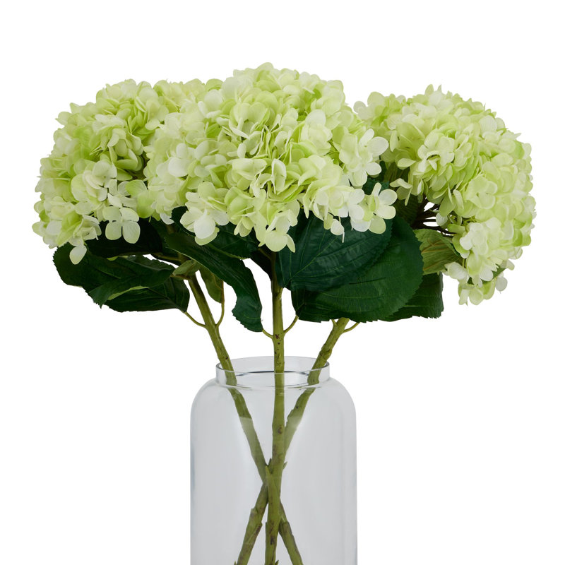 Anastasija Arrangement