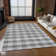 Colzie Flatweave Checkered Indoor / Outdoor Rug