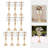 Tec Pura Backdrops & Signs-87758822-87758826