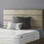 Kiara Stripped Floor Standing Headboard with Divan Base Plush Velvet and Metal Feet-776898178-776898183-675709368