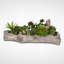 Faux Succulent Plant in Cement Pot