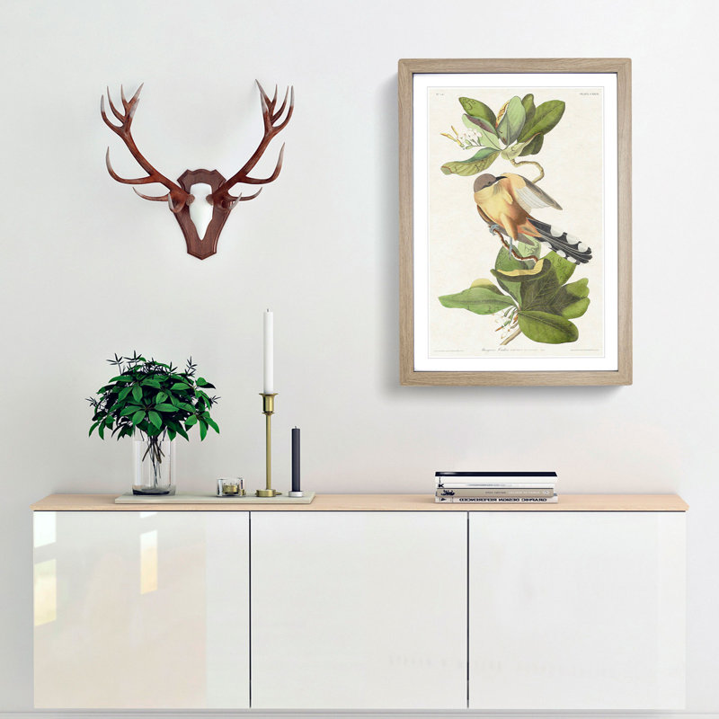 Mangrove Cuckoo by John Audubon - Framed Print, Oak Framed, 48cm H x 36cm W x 2cm D